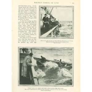  1911 Halibut Fishing on Pacific Coast illustrated 