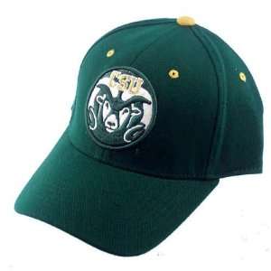  Colorado State Rams Green Genesis 1Fit Hat Sports 