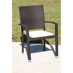 Bayside Resin Wicker Dining Chair  