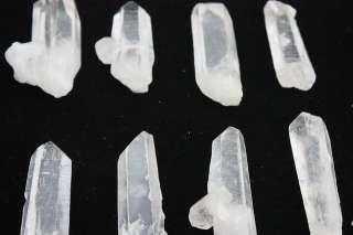 A+ Clear NATURAL Lemurian Seed Quartz Crystal Points Specimen  