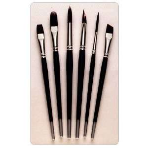  Silver Brush Ruby Satin Starter Brush Set of 6   Acrylic 