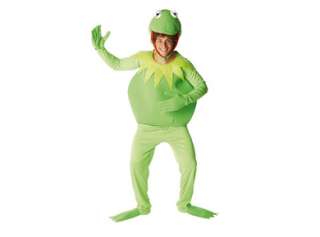 Kermit The Frog Costume picture.