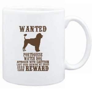   Portuguese Water Dog   $1000 Cash Reward  Dogs