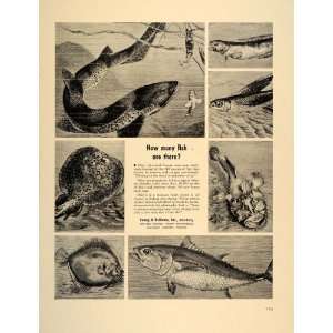 Ad Young & Rubicam Advertising Agency Fish Species   Original Print Ad 