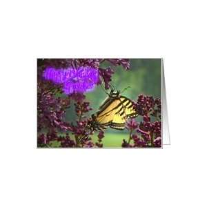  Birthday, Grandson, Monarch Butterfly Backlit on Lilacs 