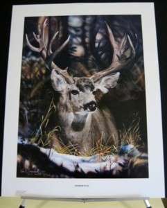 Shadow Play Mule Deer Vivi Crandall Signed Wildlife Art  