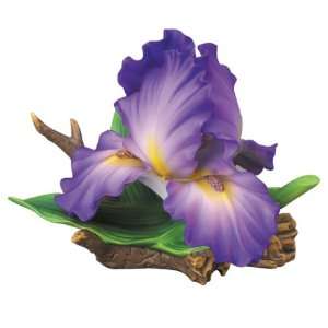  Andrea by Sadek Large Purple Iris Porcelain Flower Figurine 