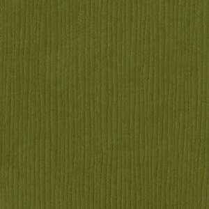Palo Verde Grasscloth 12 X 12 Bazzill Cardstock (Green)