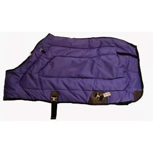   Front Medium Weight Winter Horse Blanket Purple: Sports & Outdoors