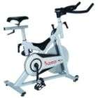 Sunny Health&Fitness SF B904 Magnetic Indoor Cycling Bike