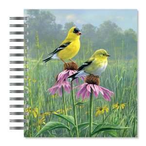  ECOeverywhere Goldfinch and Coneflower Picture Photo Album 