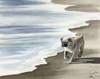 PUG Watercolor Dog ART 11 X 14 LARGE Print Signed DJR  