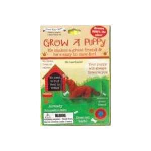  Grow A PUPPY Collectible Magic Growing Thing Toys 