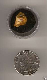 grams Gold Nugget found in Kingman, AZ  