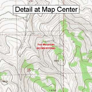  USGS Topographic Quadrangle Map   Fox Mountain, Nevada 