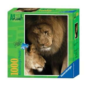   Ravensburger Animal Planet: Lions   1000 Pieces Puzzle: Toys & Games