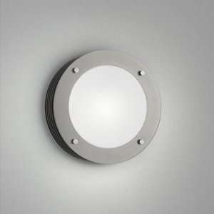   Lighting Lyra Disc Wall/Ceiling Light  Open Box: Home Improvement