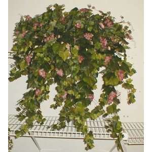  GIANT Grape Leaf Ledge Garden: Home & Kitchen