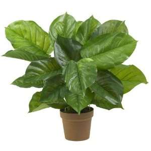   Large Leaf Philodendron Silk Plant (Real Touch): Home & Kitchen