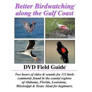  Better Birdwatching Gulf Coast DVD 
