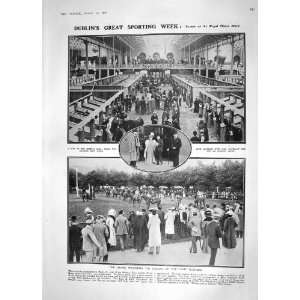    1908 DUBLIN HORSE SHOW ABERDEEN GRUBB MOROCCO HAFID