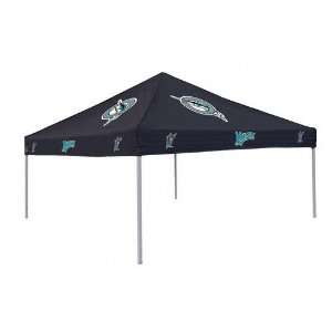   : Florida Marlins Team Color Tailgate Tent Canopy: Sports & Outdoors