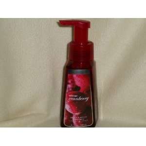   : Bath & Body Works Winter Cranberry Gentle Foaming Hand Soap: Beauty