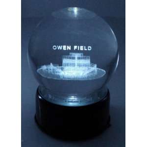  Oklahoma Stadium Laser Etched Globe