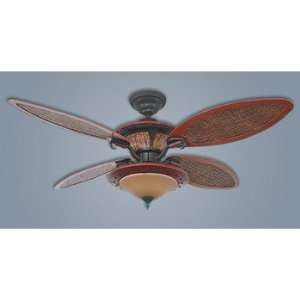   Hunter HR23267 56 Inch Antique Black Ceiling Fan with Light Home