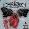 to Be Loved the Best of Papa Roach Papa Roach  Musik