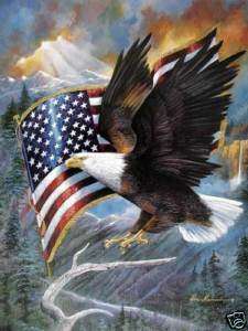 Indianer Poster Weißkopfadler mit USA Flagge  