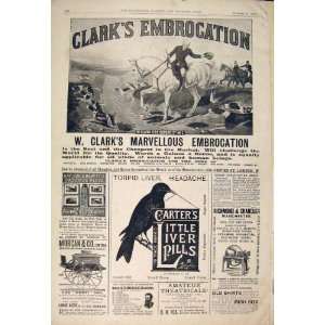   Advertisement ClarkS Embrocation CarterS Liver