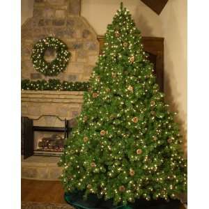   Full Pre Lit Winchester Fir Tree, 300 Clear Lamps: Home & Kitchen