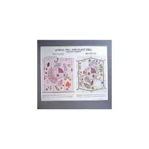  Animal Cell and Plant Cell Chart Toys & Games