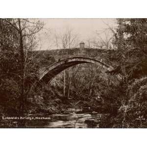 Linnolds Bridge Hexham Northumberland, a Fine Single Arch Stone Bridge 