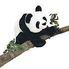 DOUGLAS 15 Panda Bear Plush Stuffed Toy Furry Animal 1