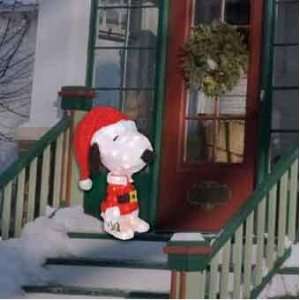   Lighted 3D Snoopy Christmas Decoration Indoor/Outdoor: Everything Else