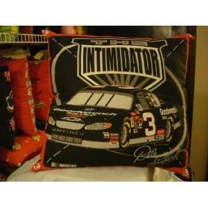  Dale Earnhardt Racing Car Pillow: Everything Else
