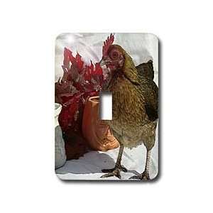 Cassie Peters Chickens   Fall Chicken   Light Switch Covers   single 