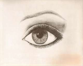   Vtg Estee Lauder Todays Eye Illustration Soft Focus Effect Eye Makeup