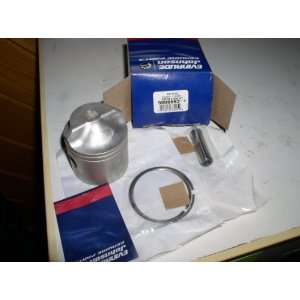  BRP Evinrude/Johnson OEM piston & ring kit 5006693: Sports 