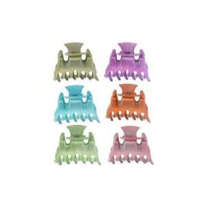   Assorted Spring Color Acrylic Hair Claw Case Pack 60   681618 Beauty