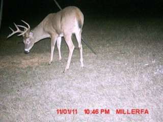BRAND NEW MOULTRIE Pro Hunter Deer Feeder Kit + Game Spy D 50 Trail 