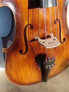 Anton Schuster Student Cello – 4/4 Size w/ Carved Top  