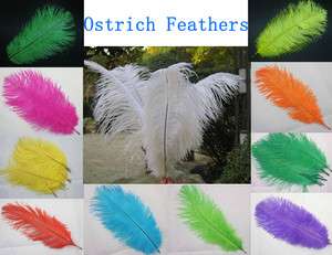 Wholesale 100PCS Quality Natural OSTRICH FEATHERS 10 12 inch Color 