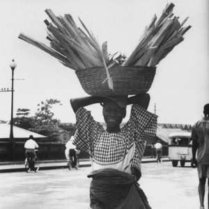  Nigerian Woman Carrying Large Basket of Wood on Her Head 