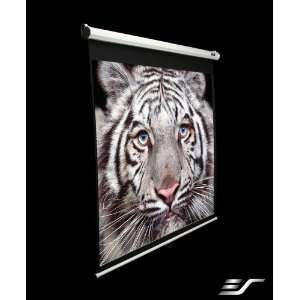  Manual Pull Down Projector Screen 43 Electronics