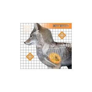   Outers Champion Coyote X Ray Target 6/PK 45905