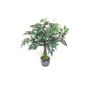   Silk Accent Plants, Cissus Tree in Round Pot   2 ft.